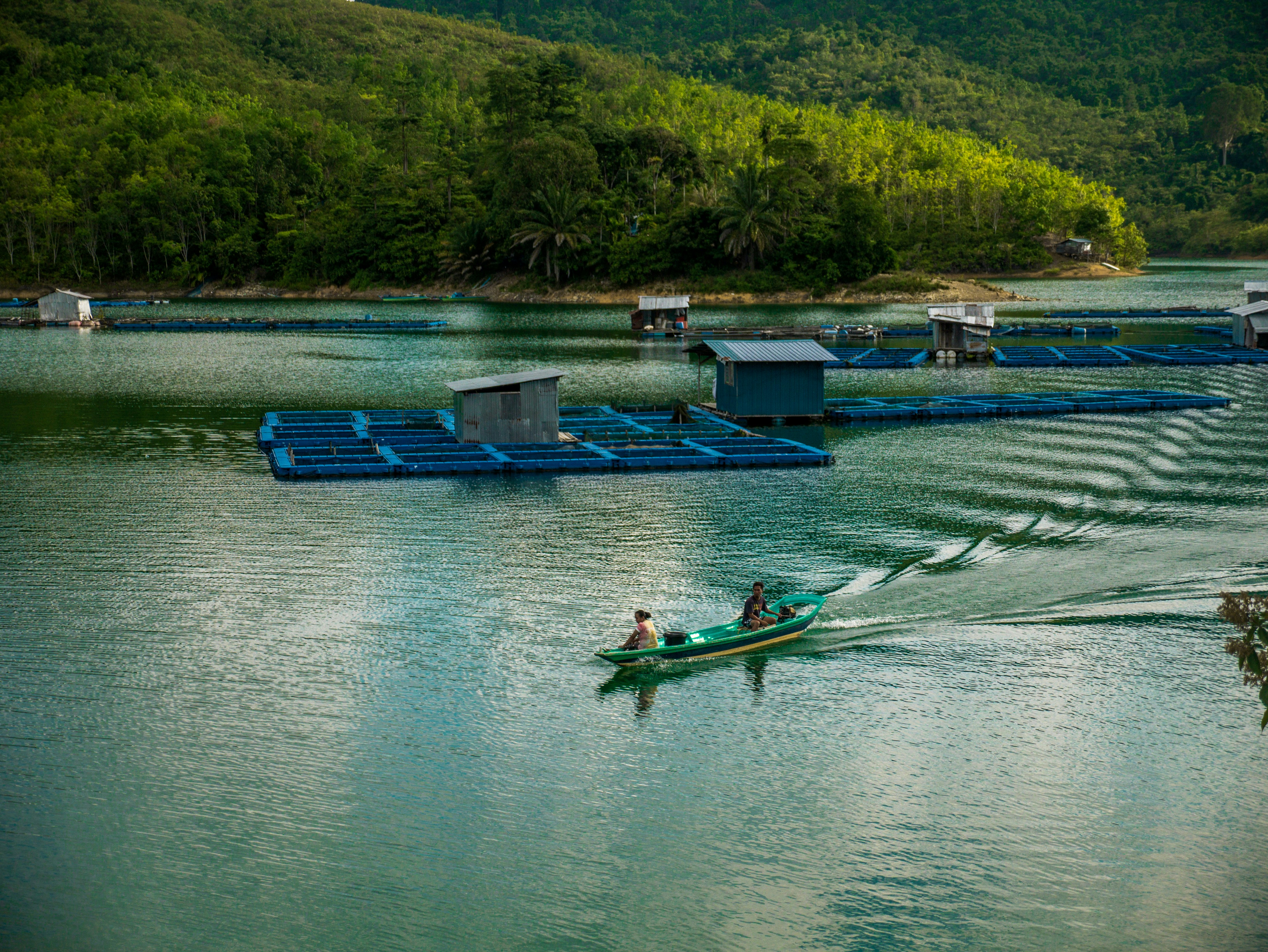 Fish farm water monitoring