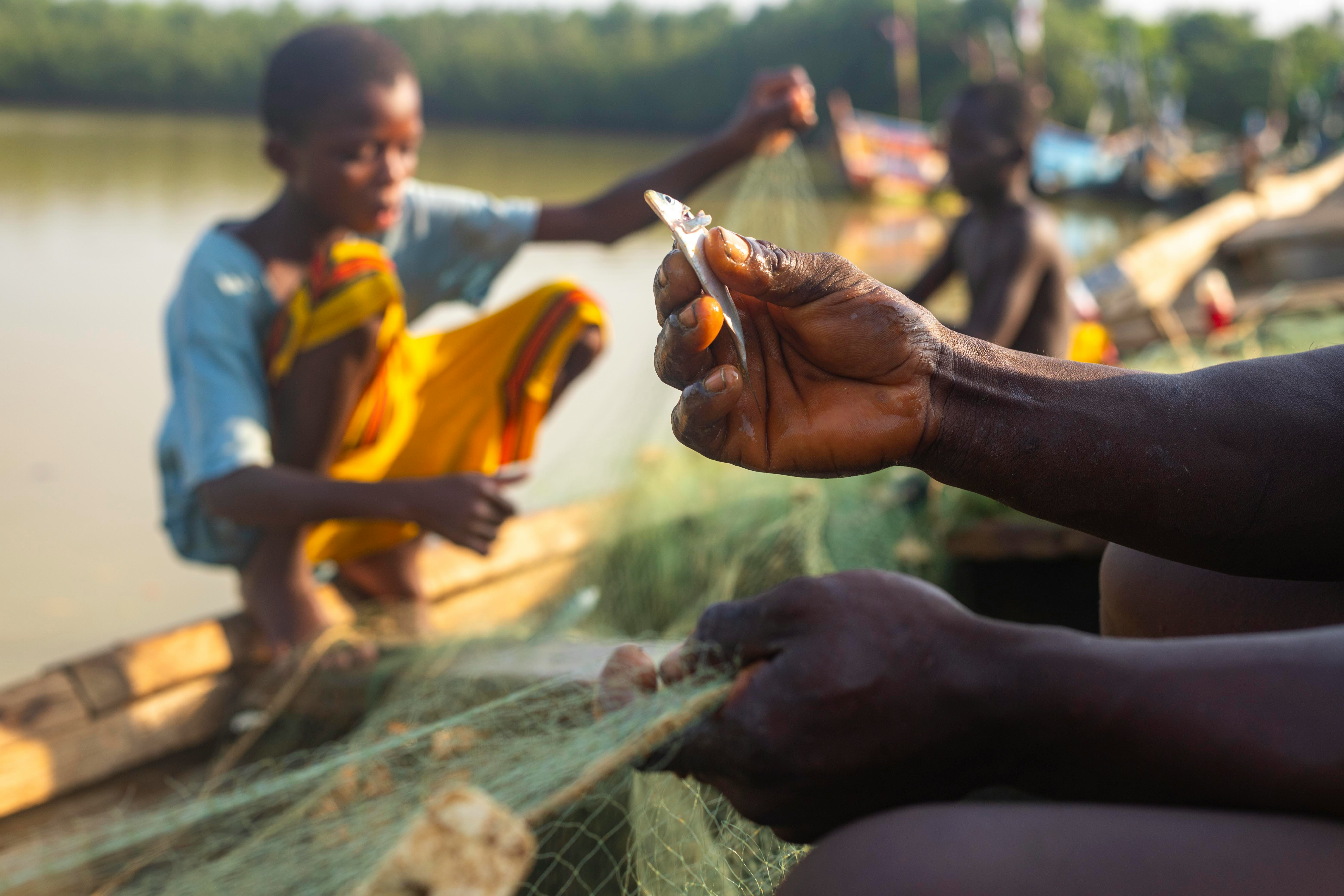Fish farming operations